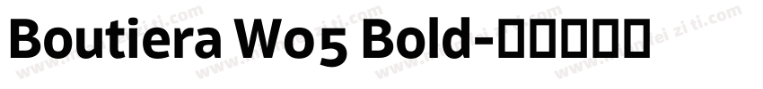 Boutiera W05 Bold字体转换